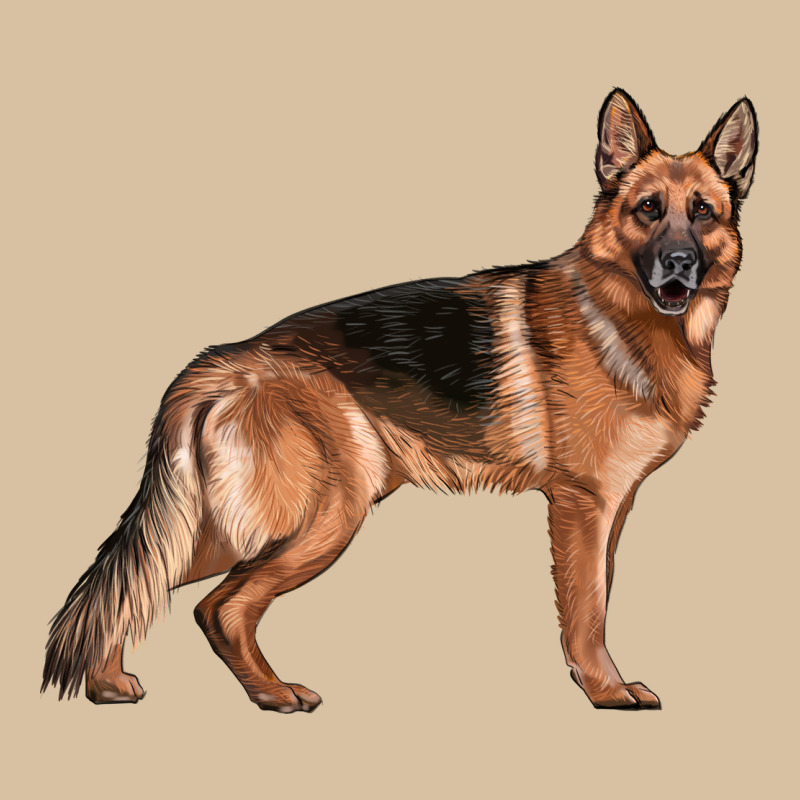 German Shepherd Dog Illustrations Heavyweight Hoodie by LillyAllenDesigns | Teevron