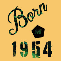 Born In 1954 Vintage Hoodie | Teevron