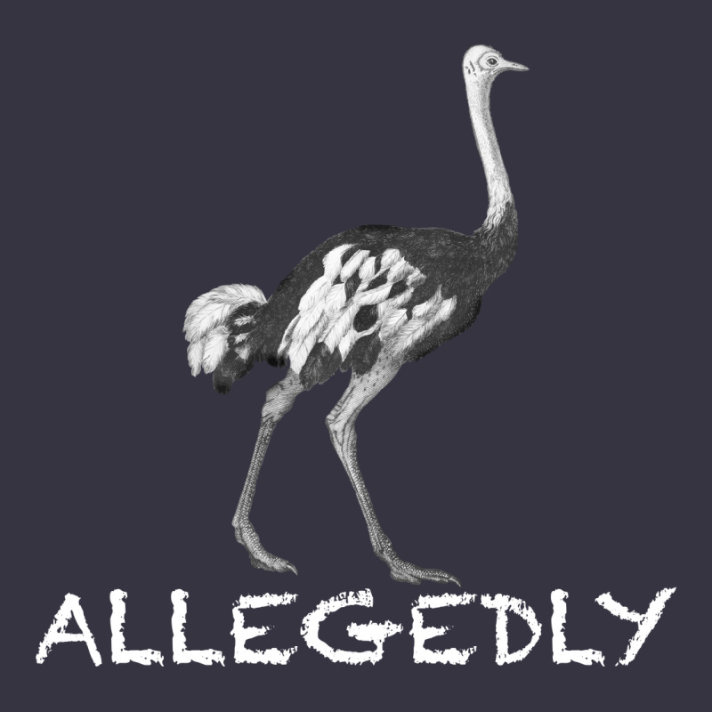 Allegedly Vintage Hoodie by Bettercallsaul | Teevron