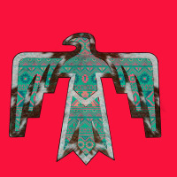 Cowhide Aztec Thunderbird Classic Tee | Teevron