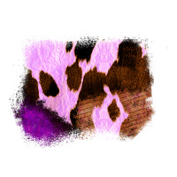 Purple Western Wood Cowhide Frame Classic Tee | Teevron