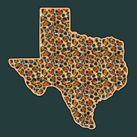 Western Texas Map Leopard Pattern Classic Tee | Teevron