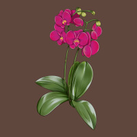 Moth Orchid Classic Tee | Teevron