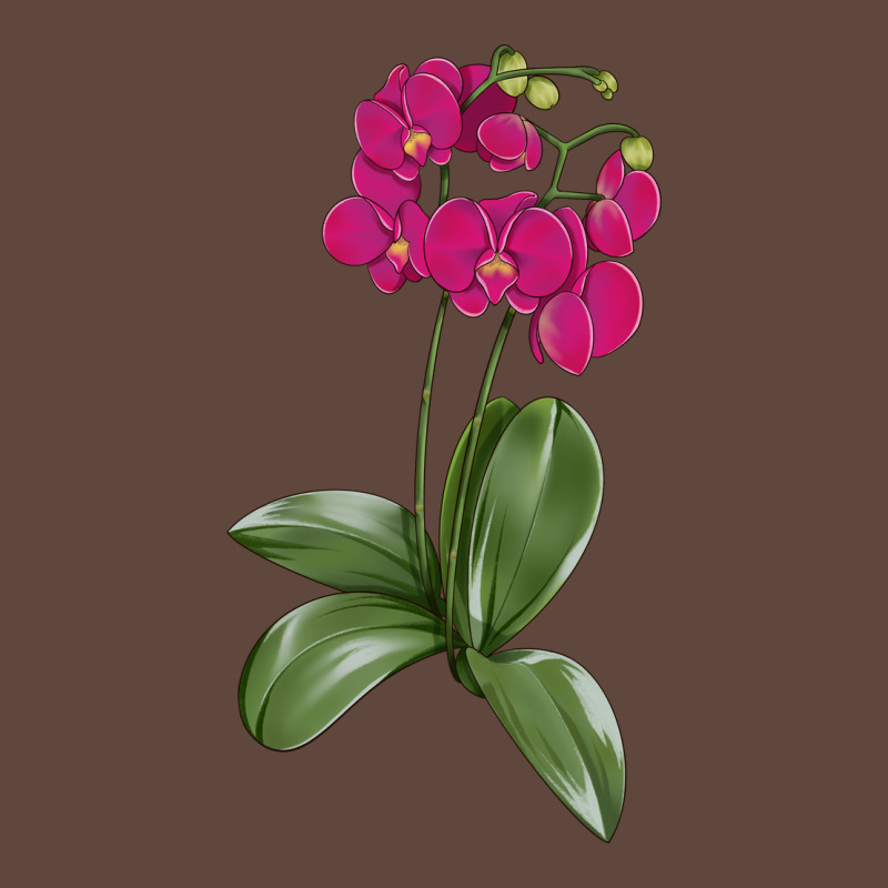 Moth Orchid Classic Tee by LillyAllenDesigns | Teevron