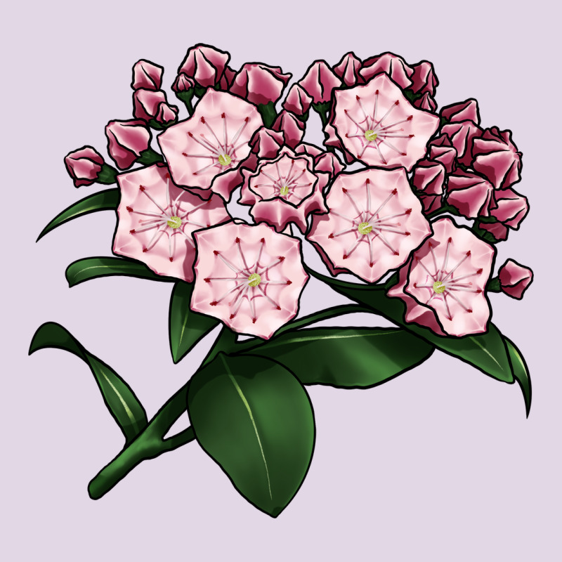Mountain Laurel Flower Illustrations Classic Tee by LillyAllenDesigns | Teevron