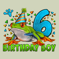 Birthday Boy Frog Age 6 Heavyweight Hoodie | Teevron