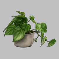 Philodendron Classic Tee | Teevron