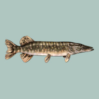 Northern Pike Fish Illustrations Premium Sweatshirt | Teevron
