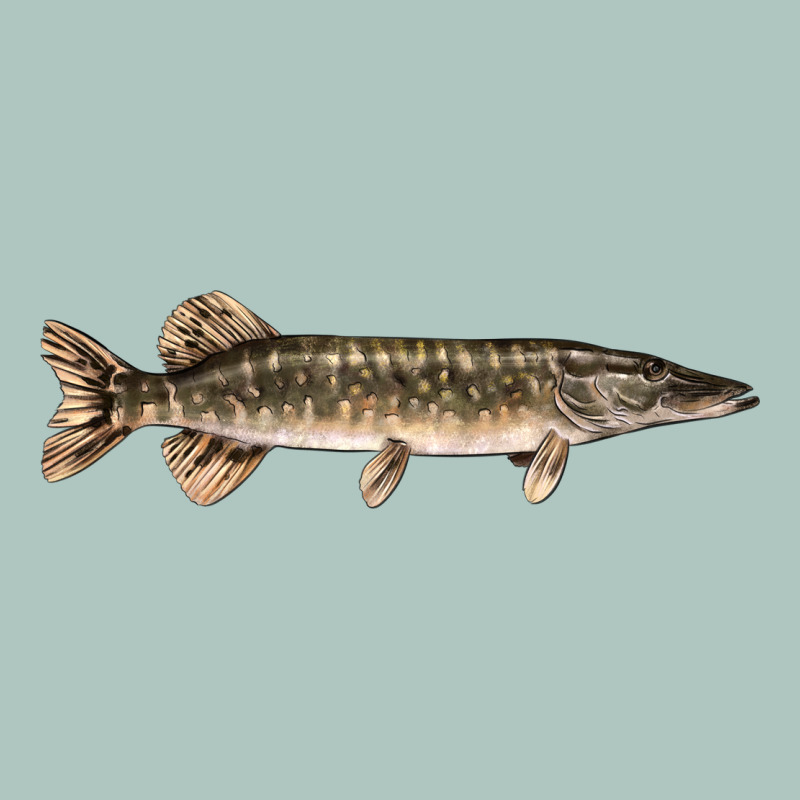 Northern Pike Fish Illustrations Premium Sweatshirt by LillyAllenDesigns | Teevron