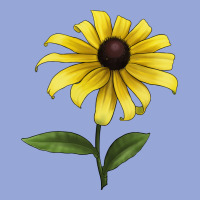 Black Eyed Susan Flower Illustrations Classic Tee | Teevron