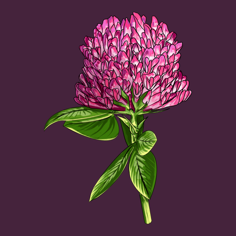 Red Clover Illustrations Classic Tee by LillyAllenDesigns | Teevron
