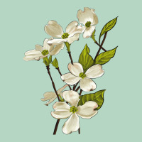American Dogwood Flower Illustrations Classic Tee | Teevron
