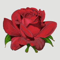 Oklahoma Rose Illustrations Classic Tee | Teevron