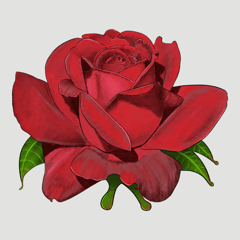 Oklahoma Rose Illustrations Classic Tee by LillyAllenDesigns | Teevron