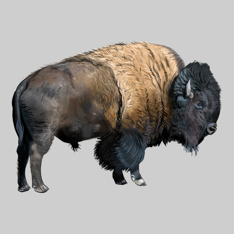 Bison Buffalo Premium Sweatshirt by LillyAllenDesigns | Teevron