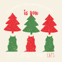 All Want For Christmas Is You Just Kidding I Want Cats Vintage Tee | Teevron