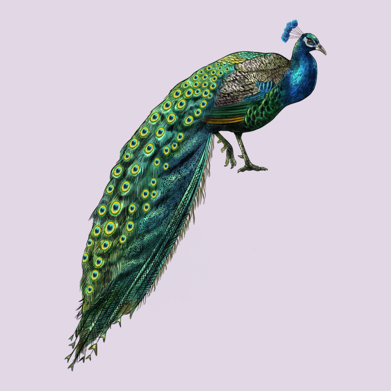 Peacock Classic Tee by LillyAllenDesigns | Teevron
