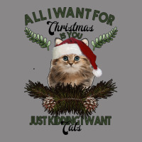 All I Want For Christmas Is You Just Kidding I Want Cats Vintage Tee | Teevron
