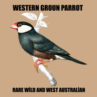 Western Ground Parrot Rare Wild And West Australia Vintage Hoodie | Teevron