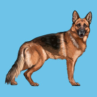 German Shepherd Dog Illustrations Premium Sweatshirt | Teevron