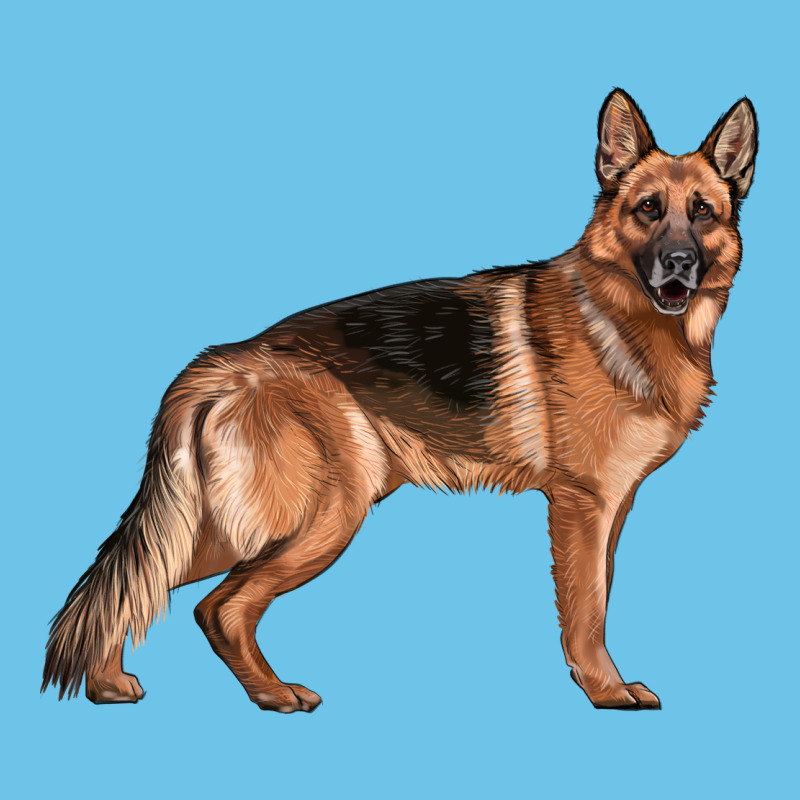 German Shepherd Dog Illustrations Premium Sweatshirt by LillyAllenDesigns | Teevron