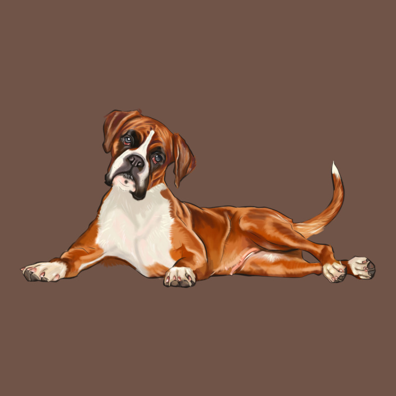Boxer Dog Illustrations Premium Sweatshirt by LillyAllenDesigns | Teevron