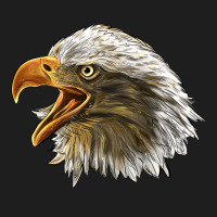 Bald Head Eagle Classic Tee | Teevron