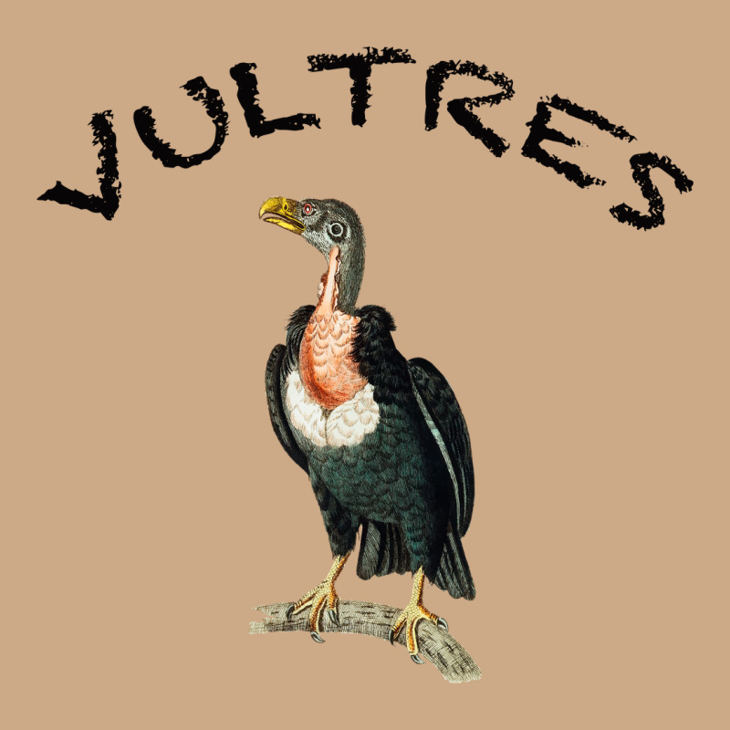 Vultures Vintage Hoodie by Bettercallsaul | Teevron