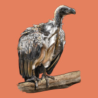Vulture Bird Classic Tee | Teevron
