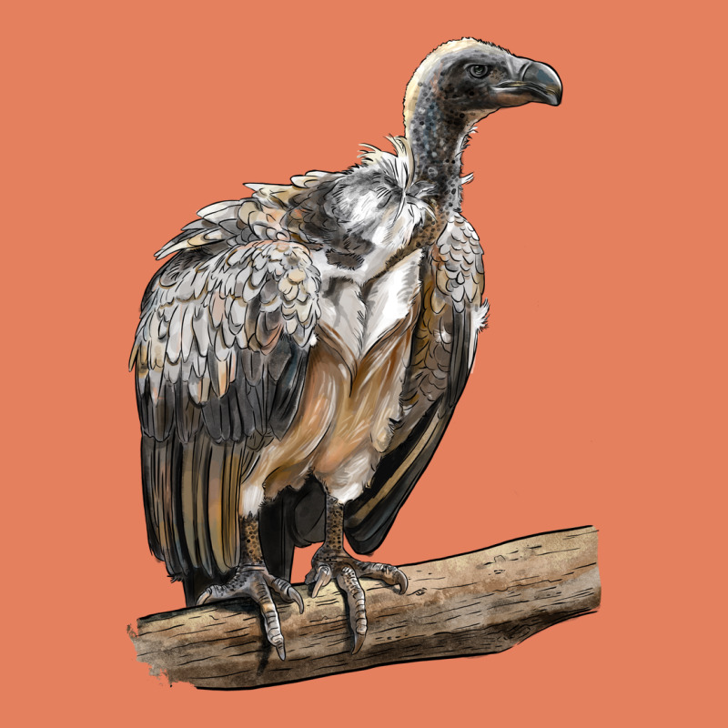 Vulture Bird Classic Tee by LillyAllenDesigns | Teevron