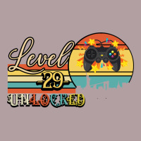 Level 29 Unlocked Vintage Hoodie | Teevron