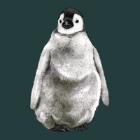 Baby Penguin Classic Tee | Teevron
