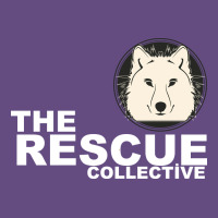 The Rescue Collective Vintage Hoodie | Teevron