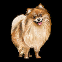 Pomeranian Dog Illustrations Premium Sweatshirt | Teevron