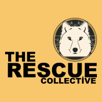 The Rescue Collective Vintage Hoodie | Teevron