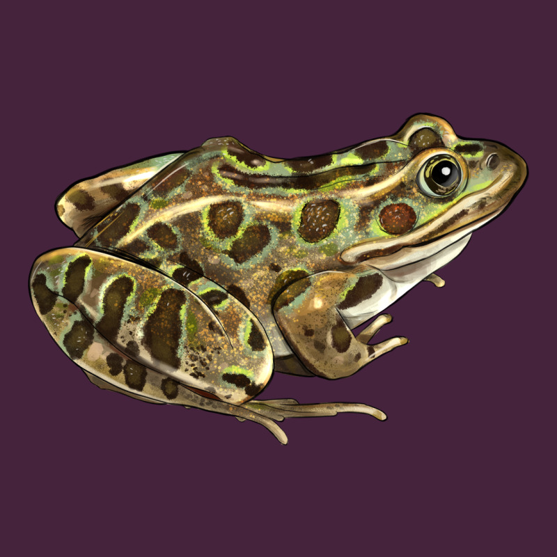 Northern Leopard Frog Classic Tee by LillyAllenDesigns | Teevron