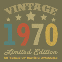 Vintage 1970 Limited Edition 50 Years Of Being Awesome Vintage Hoodie | Teevron