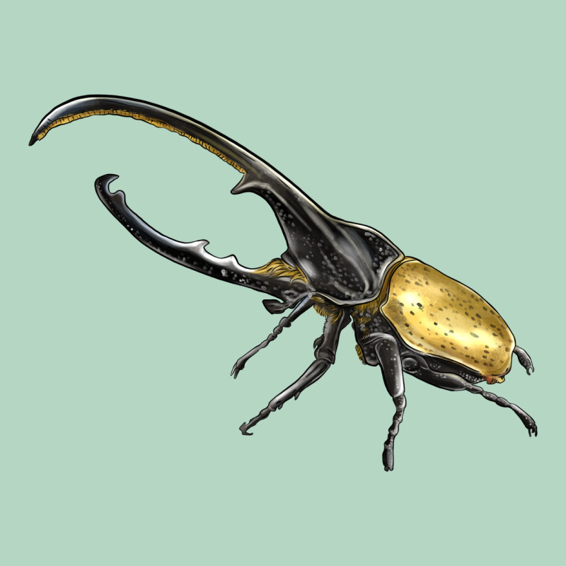 Hercules Beetle Side Classic Tee by LillyAllenDesigns | Teevron