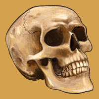 Skull Urban Hoodie | Teevron