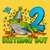 Birthday Boy Frog Age 2 Premium Sweatshirt | Teevron