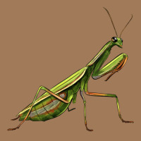 Mantis Classic Tee | Teevron