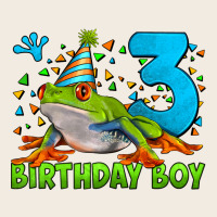 Birthday Boy Frog Age 3 Premium Sweatshirt | Teevron