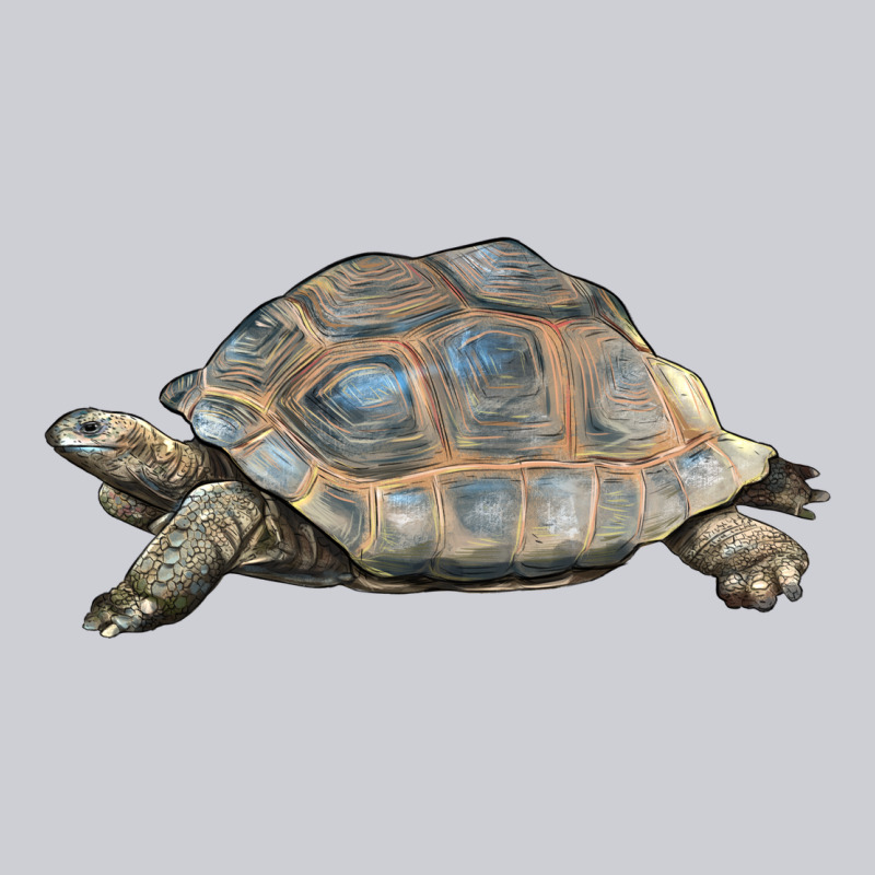 Tortoise Illustrations Classic Tee by LillyAllenDesigns | Teevron