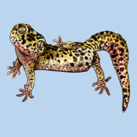 Gecko Lizard Illustrations Classic Tee | Teevron