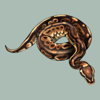 Royal Ball Python Illustrations Classic Tee | Teevron
