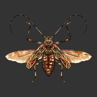 acrocinus beetle with wings | Teevron