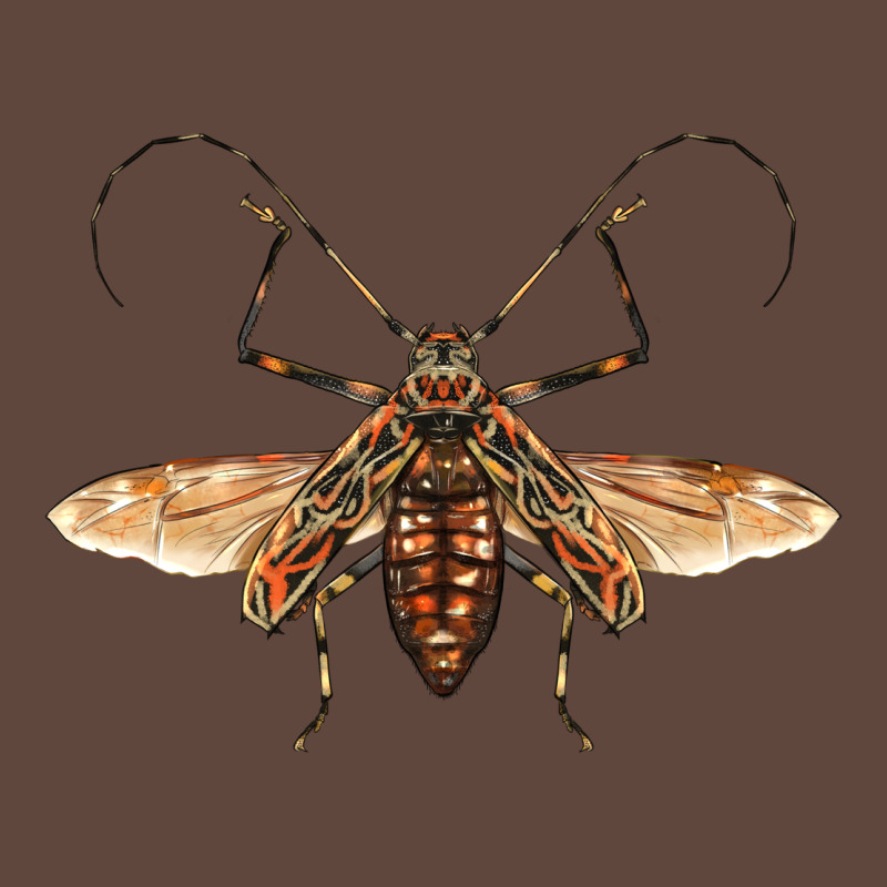 Acrocinus Beetle With Wings Classic Tee by LillyAllenDesigns | Teevron