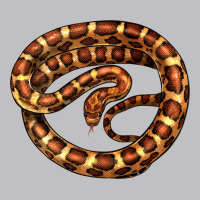 Corn Snake Illustrations Classic Tee | Teevron