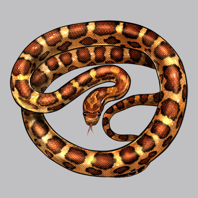 Corn Snake Illustrations Classic Tee by LillyAllenDesigns | Teevron