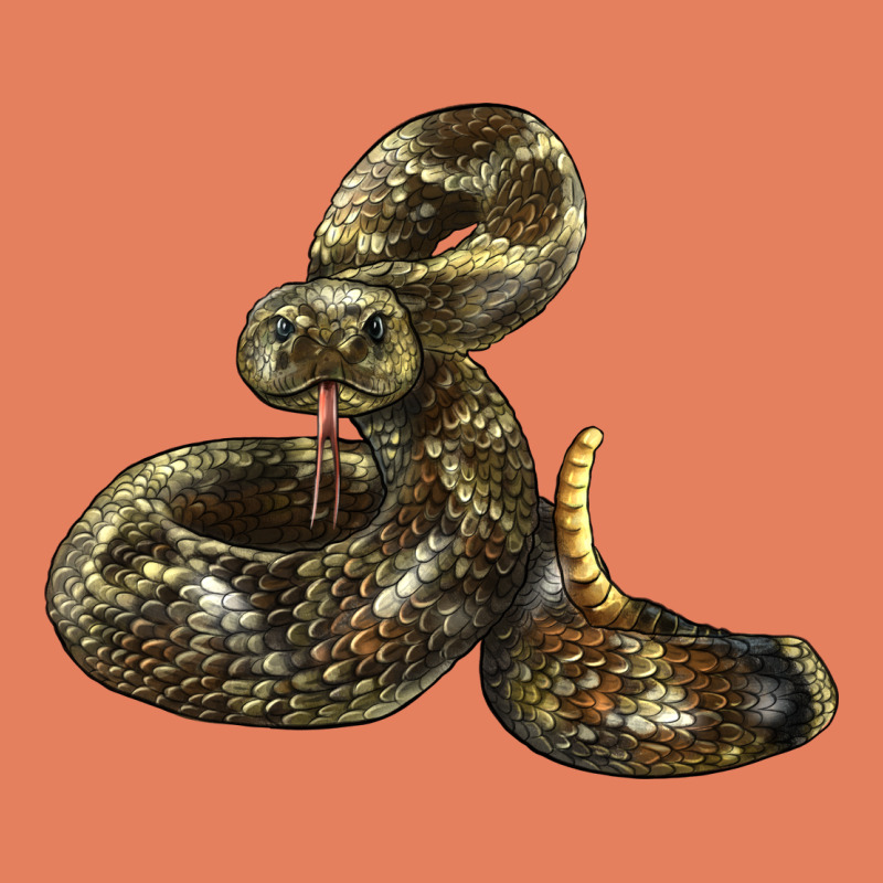 Rattlesnake Classic Tee by LillyAllenDesigns | Teevron